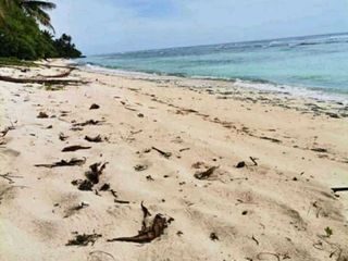1 HECTARE BEACH LOT IN BAGANGA DAVAO ORIENTAL