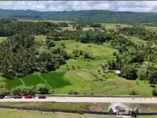 Lot for Sale Tayabas, Quezon Along the Hiway