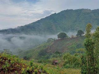 1016sqm Titled Mini Farm Lot in Salaysay, Marilog Php508k