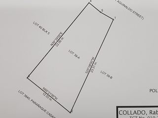TEOVILLE WEST BF HOMES PARANAQUE Lot for Sale Gooddeal 200SQM CLEAN TITLE
