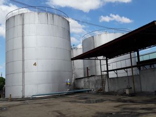 2500 mt Capacity Storage tanks for rent for coconut oil or molasses