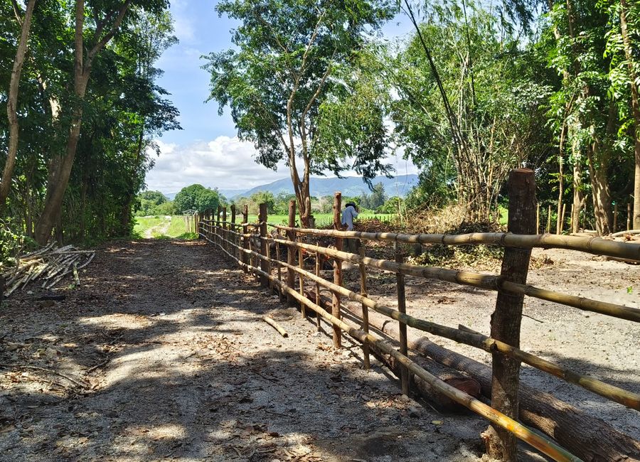 500 SQM RESIDENTIAL LOT (SOLO TITLE)