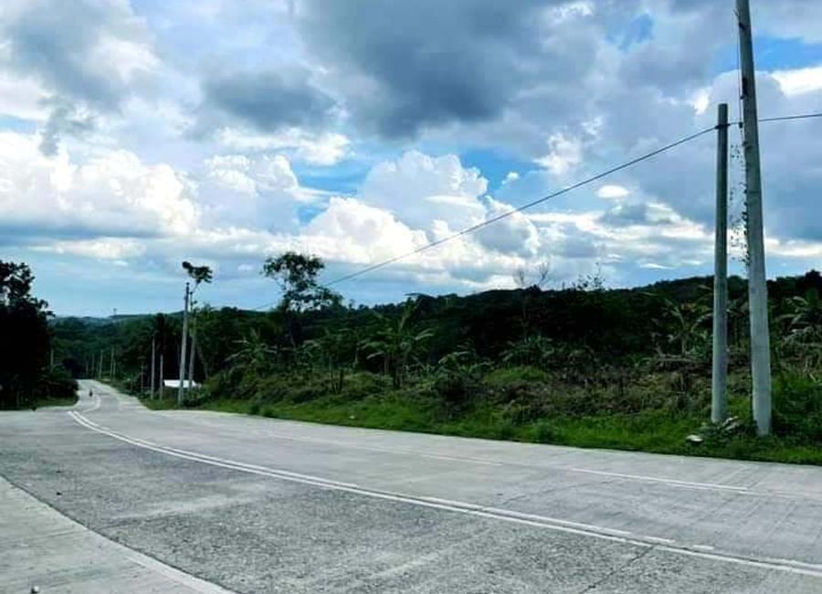 1-Hectare Land For Sale at Camp Eleaga, Barangay Malabog, Davao City