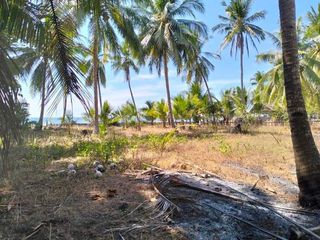 Beach Front Lot For Sale on Ambil, Looc, Occidental Mindoro - 2,760 sqm