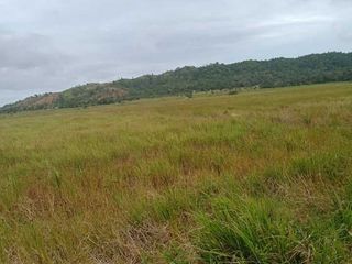 2 Hectares Farm Lot for Sale in Decalachao, Coron, Palawan