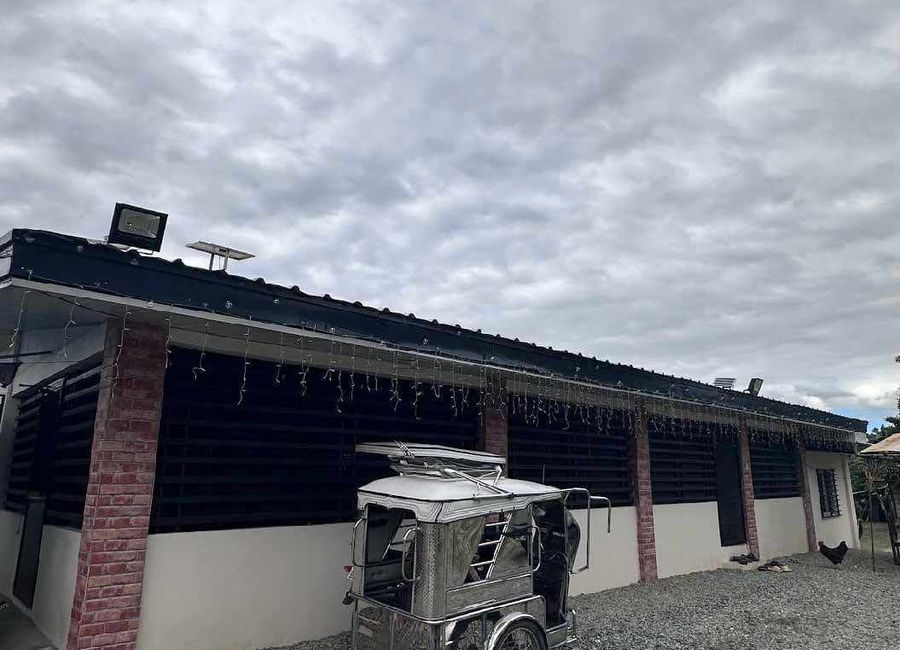 Residential Lot 4,500 sqm in Brgy. Sta Maria Magalang, Pampanga for Sale