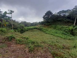 EXCLUSIVE RESIDENTIAL LOTS FOR SALE @ AMADEO CAVITE