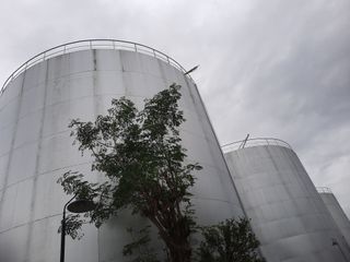 8100 MT storage tanks for rent for coconut oil and molasses