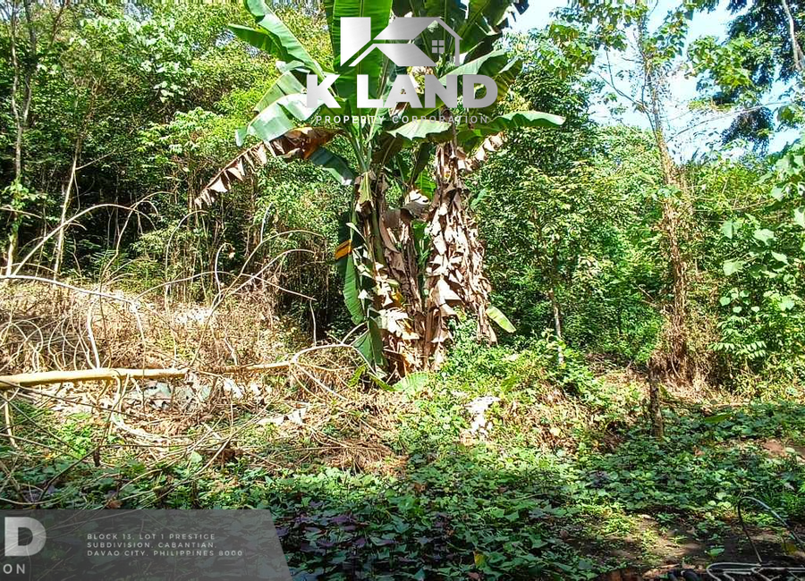 SEMI OVERLOOKING LOT IN AUMBAY SAMAL ISLAND
