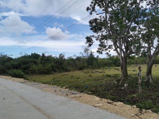 89,864 sq.m Titled Lot For Sale located in Tangnan, Panglao Island, Bohol