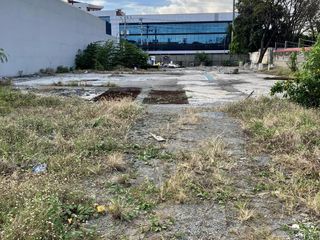 Otis Manila Commercial Vacant Lot for Sale