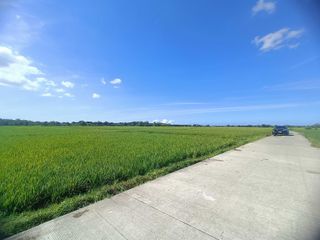 Two Agricultural Lots For Sale located at. Capangdanan, Bantay, Ilocos Sur