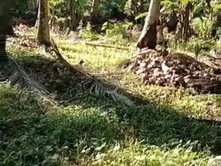 2.28HA Agri-land in Nlamco, Balingasag, Misamis Oriental for Sale