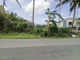 1.2 Hectare Lot in Kaysuyo, Alfonso Cavite for SALE! TITLED P 4,000 per sqm