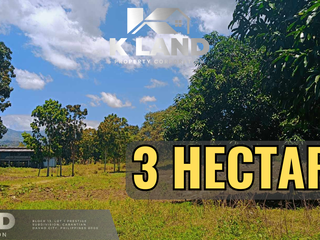 3HAS MANGO FARM LOT IN DIGOS CITY