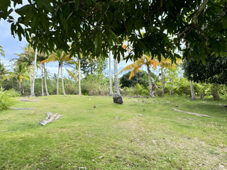 OVERLOOKING Scenic Farm Investment: San Isidro Retreat