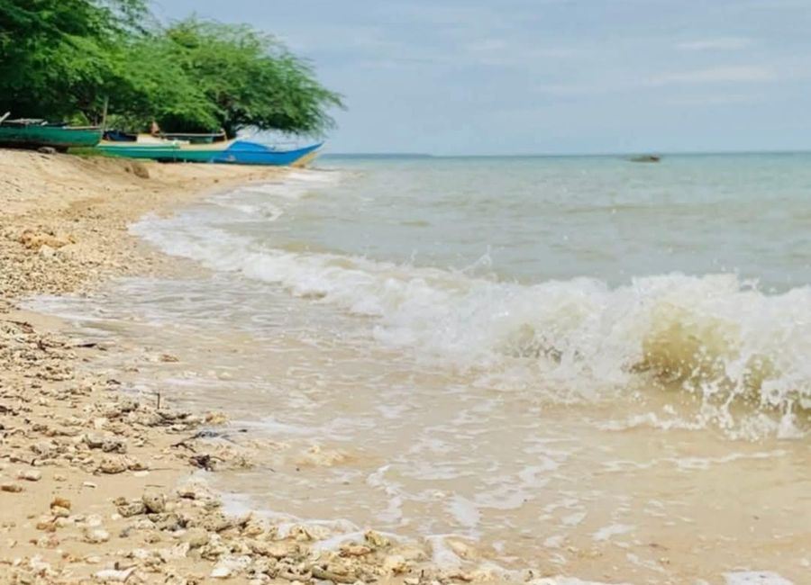 High-end Beach lot in Daanbantayan, Cebu