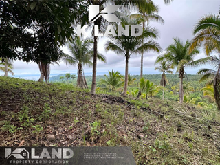 3HAS OVERLOOKING LOT IN SAN ISIDRO KAPUTIAN SAMAL ISLAND