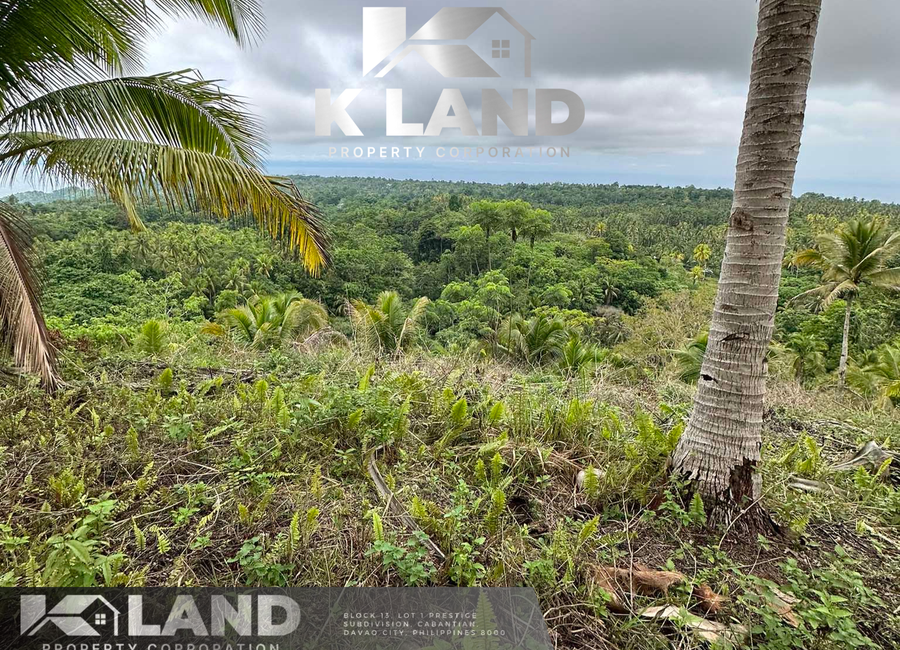 3HAS OVERLOOKING LOT IN SAN ISIDRO KAPUTIAN SAMAL ISLAND