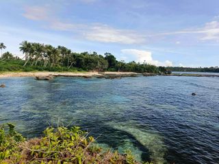 Siargao Beach Lot for Sale - Siargao Surfview Estate