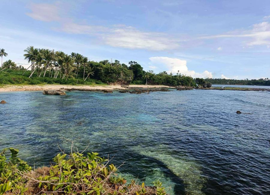 Siargao Beach Lot for Sale - Siargao Surfview Estate