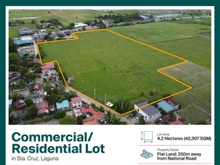 Sta. Cruz Laguna Commercial Lot for Sale