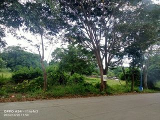 20,000 SQM. Lot for Sale in Baras Rizal