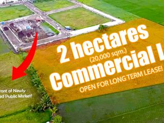 For Rent: 2 Hectares Commercial Vacant Lot in Calauan, Laguna