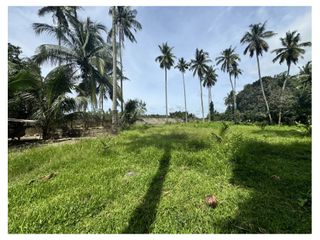 Farm lot with river view in Katipunan, Zamboanga del Norte