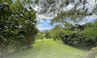 Tagaytay Overlooking Lot for Sale