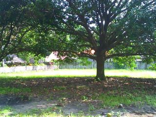 Prime Corner Lot in Gated Apo Vista Beach Park for Sale in Zamboanguita