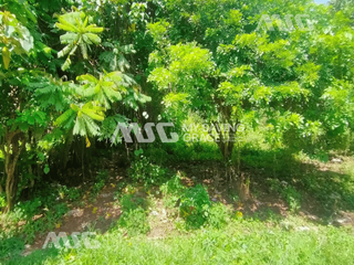 MSG-37-0007: Phase III Green Breeze Village, Biclatan, Residential Lot