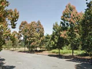 Land for sale in Muntinlupa City, Metro Manila