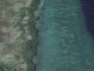 Beach lot for sale in Badian Cebu, Philippines