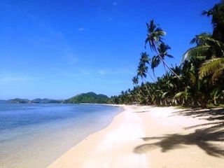 Beach Lot in New Busuanga, Palawan