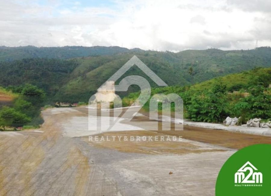 Overlooking 100 SQM Lot in Minglanilla Cebu City for Sale