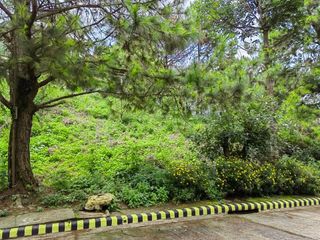 LOT INSIDE PINES GARDEN SUBDIVISION