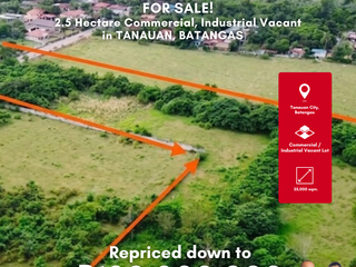 Prime 2.5 Hectare Commercial, Industrial Vacant Lot for Sale in Tanauan, Batangas near Toll Exit and SLEX