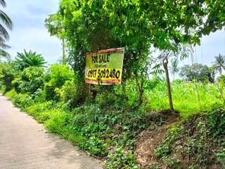 FOR SALE 11hectares Vacant Lot For SALE in Tanuan Batangas