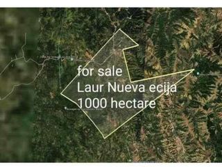 PRIME 1,000-HECTARE TITLED LAND ASSEMBLAGE FOR SALE — LAUR, NUEVA ECIJA