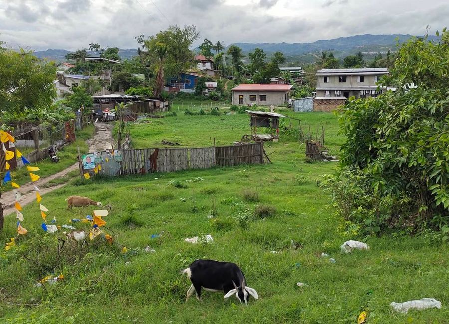 Residential lot in mohon, talisay city, cebu P2.3Mn