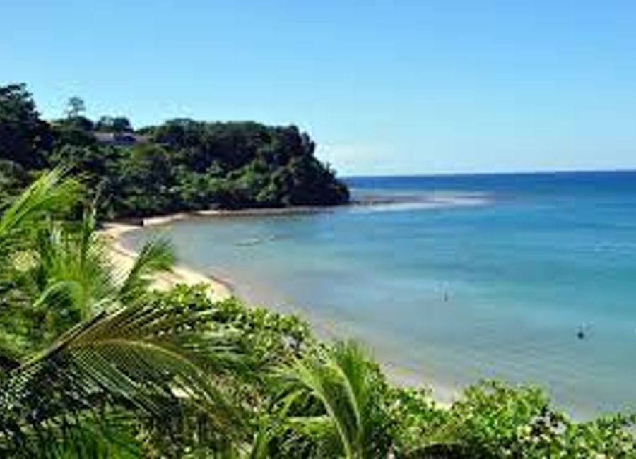 Anvaya Cove Bamboo Grove Residential Lot For Sale in Morong Bataan near Subic Clark International Airport