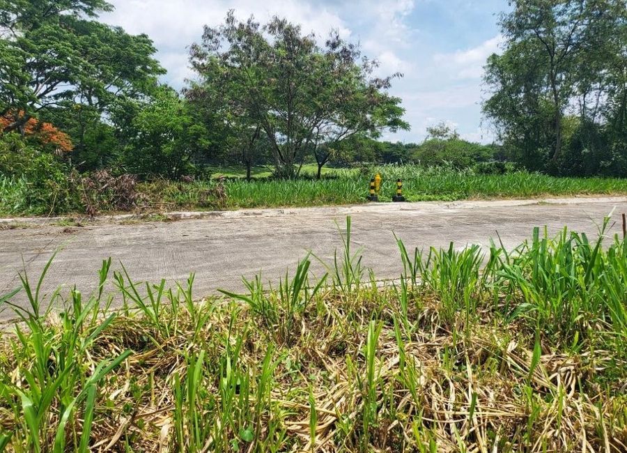 🔴RARE FIND - Golf View Residential Lot For Sale Near Alabang Muntinlupa City