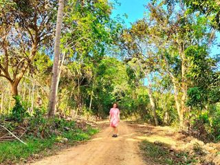 Lots for sale in El Nido Palawan