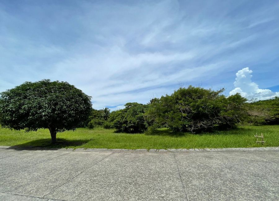 8,500k per sqm Residential Lot for Sale in Leisure Farms, Lemery, Batangas