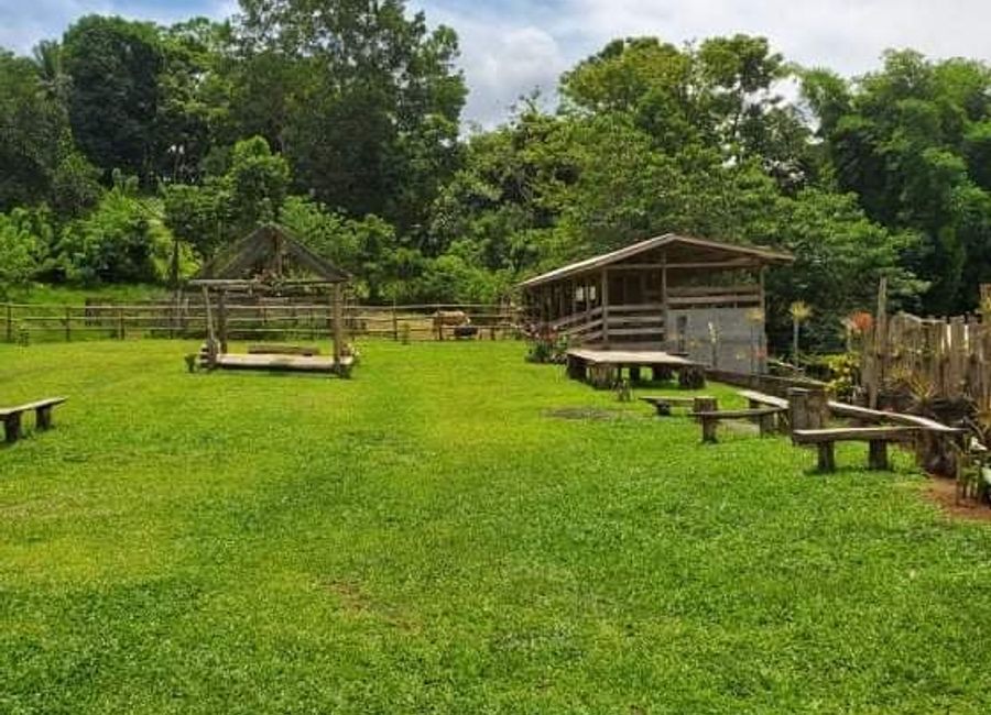 For SALE: 3 hectares farm🏕🌌🌄 Purok 4 Poblacion, Libona, Bukidnon.