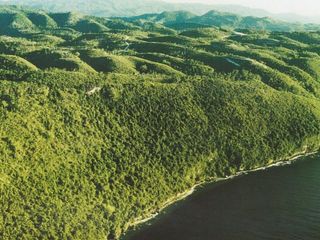 Cliffside Properties for sale in Aloguinsan & Barili, Cebu