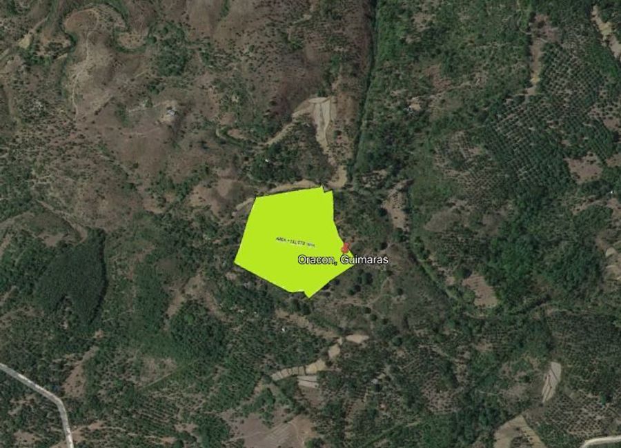 AGRI-LOT FOR SALE IN NUEVA VALENCIA, GUIMARAS