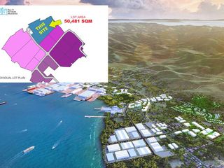 5 Hectares Industrial Lot For Sale In Balamban
