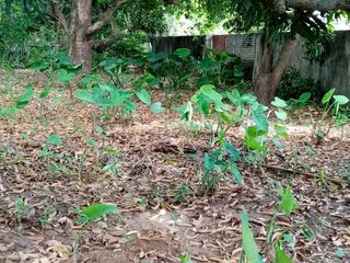 Vacant Lot for Lease in Baliuag, Bulacan - LA3K